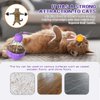 KitchiFlora Cat Toys for Bored Indoor Cats Tumbler Interactive Cat Toys with Teaser Wand Cat Food Dispenser - Ideal for Exercise and Boredom Relief Pet Supplies Birthday Gift (Purple)