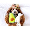 ZippyPaws NomNomz Plush Dog Toy, Stuffed Toy with Round Squeakers and Crinkles, Cute Food Character, Avocado