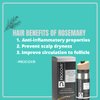 PROCOVR Hair Loss Concealer Cream - The ORIGINAL Thinning & Balding Hairline Enhancer, Hair Mascara for Natural Coverage & Thicker Appearance (Smoke Black FBA)