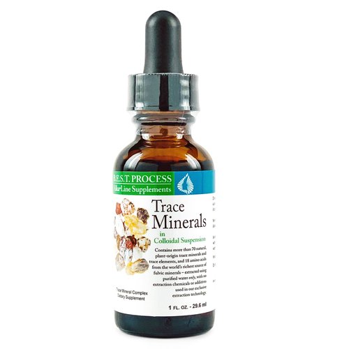 Morter Trace Minerals in Colloidal Suspension (2 Pack) Morter HealthSystem Best Process Alkaline ...