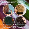 ON Natural Premium Oil Free Curl N Wavy Curl Defining Conditioner & Detangler, Coconut Milk 8 oz