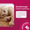 VetriScience Hairball Remedy for Cats - 60 Chews - Cat Supplements & Vitamins for Hairball Control and Digestive Support​