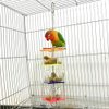 OFLAO Bird Foraging Toys,Creative Parrot Feeder Box,Hanging Treat Foraging Toy for Anchovies,Parakeets,Cockatiel,Conure,Mynah,Macow