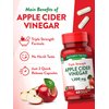 Apple Cider Vinegar Capsules | 1200mg | 60 Pills | Quick Release | Non-GMO & Gluten Free Supplement | by Nature's Truth