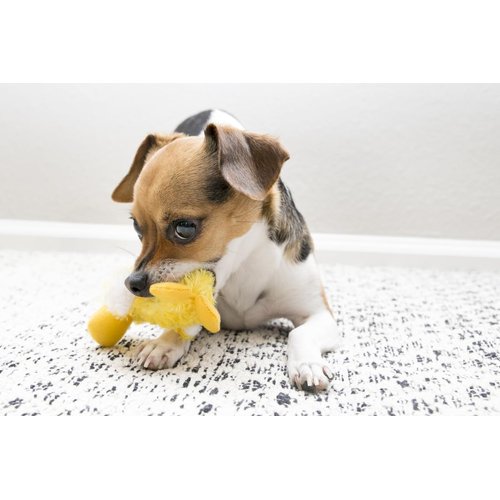 KONG Dr. Noy's Platy Duck Plush Dog Toy [Set of 3]