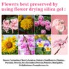 Sukh Silica Gel Flower Drying - Flower Drying 0.9 LBS Color Indicating Silica Gel Crystals Reusable for Drying Preserve Flowers Wedding Bouquet Preservation Drying Crystals