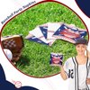 Teenyyou 200 Pcs Baseball Napkins, Baseball Themed Sports Party Supplies, 10" Disposable Paper Baseball Dinner Napkins, Baseball Print Guest Hand Napkins for Baseball Theme Birthday Party Favors