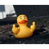 DS. DISTINCTIVE STYLE Middle Finger Rubber Ducks 2 Pieces Yellow Rubber Duck 2.95 Inch Funny Car Ornaments Duck for Car Dashboard Decoration, Computer Monitor Decor