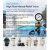 98209800 High Flow Manual Air Relief Valve w/Pressure Gauge Replacement for Pool and Spa Filter