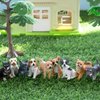 Toymany 12PCS Mini Dog Figurines Toy Set, Realistic Detailed Plastic Puppy Figures Playset, Hand Painted Dogs Animals Toy, Cake Toppers Easter Eggs Christmas Birthday Gift for Kids Toddlers