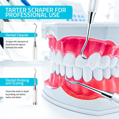 Utopia Care Professional Dental Tartar Scraper Tool - Dental Pick, Double Ended Tartar Remover for Teeth, Plaque Remover, Tooth Scraper (6 Inch, Silver, 1)