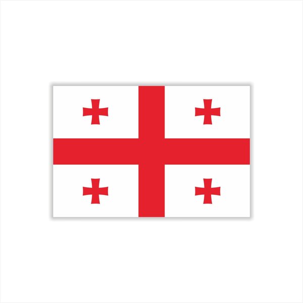 Womaha 30 Temporary Georgia Flag Tattoos Fans Face Tattoo Stickers for Adults Kids Group Activity Props