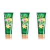 Bath & Body Works Vanilla Bean Noel Body Cream 8 oz Pack of 3 (packaging may vary)