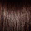 Ion 6WR Dark Gold Mahogany Blonde Permanent Creme Hair Color 6WR Dark Gold Mahogany Blonde
