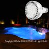 Broadroad LED Pool Light Bulb 120V 65W Daylight White 6000K Swimming Pool 6000LM Pool Light Bulb Replacement for Most Pentair Hayward Light Fixtures (Pool 65W)