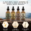 Striking Viking Beard Oil 4 Pack - Softening and Conditioning Beard Oil for Men - Citrus, Vanilla, Sandalwood, & Cedarwood Variety Scents - Enriched with Argan, & Jojoba Oils- Strengthens Beard Growth