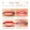 Lip Balm Honey Lip Mask, Hydrating Propolis Lip Sleeping Mask, Moisturizing & Prevention Dry and Cracked Lip Scrubs Exfoliator, Lip Repair Nourishes the Lip Skin