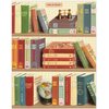 Cavallini 1000 Piece Puzzle, Library Books (PZL/Book)