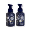 Bath and Body Works Winter Gentle Foaming Hand Soap, 2-Pack 8.75 Ounce (Winter)