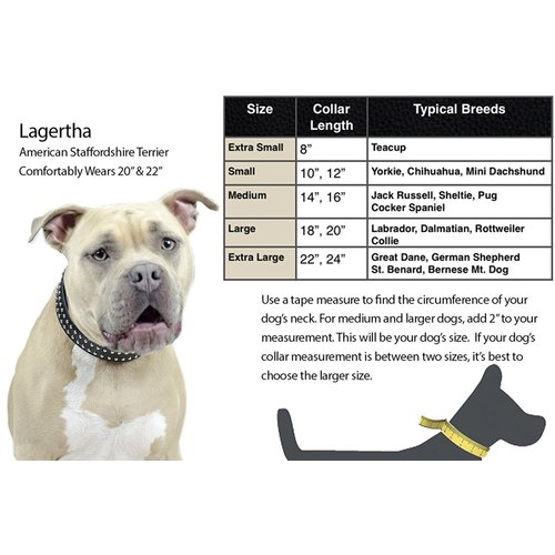 Derby Dog Designer Series USA Leather Spikes and Diamond Padded Dog Collar, 12"