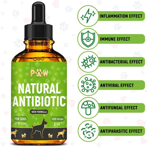 Natural Antibiotics for Dogs - Dog Liquid Antibiotics - Supports Dog Allergy Relief - Dog Itch Relief - Dog Allergy Support - Dog Multivitamin - Pet Antibiotics