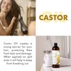 Castor Oil Pure Carrier Oil - Cold Pressed Castrol Oil for Essential Oils Mixing Natural Skin Moisturizer Body & Face, Eyelash Caster Oil, Eyelashes Eyebrows Lash & Hair Growth Serum 1 Gallon