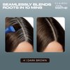Clairol Root Touch-Up by Nice'n Easy Permanent Hair Dye, 4 Dark Brown Hair Color, Pack of 2