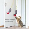 YuanHolumid Grey and Red Interactive Cat Toy, Hanging Self-Play Little Mouse Shaped Toys Cat Toy, Built-in Sound, Relieve Boredom, Hanging Squeak Mouse Stretchy Feather Plush Cat Toy Grey