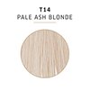 WELLA Color Charm Hair Toner, Neutralize Brass With Liquifuse Technology, T14 Pale Ash Blonde, 1.4 oz