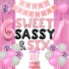 JOYMEMO Sweet Sassy and Six Birthday Decorations Girl, Pink Sweet Six Birthday Party Supplies with Donut Ice Cream 6th Birthday Cake Topper, Birthday Girl Sash, Happy Birthday Banner, Tinsel Curtain