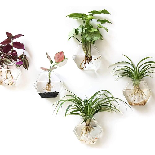 Kingbuy Wall Hanging Glass Planter Propagation Terrarium Hexagon Shape Flower Vase for Home Office Decor, Plant Lover Gifts, 3 Pack, Medium