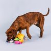 Fringe Studio Plush Dog Toy Set, Interactive Hide and Seek Play, Into The Deep, Pet Shop Collection (289249)