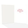 Stonehouse Collection | Funny Dog & Cat Christmas Cards - Awkward Moment! - 18 Boxed Cards and Envelopes - USA Made (Standard)