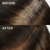 L'Oreal Paris Magic Root Rescue 10 Minute Root Hair Coloring Kit, Permanent Hair Color with Quick Precision Applicator, 100% Gray Coverage, 6 Light Brown, 2 count