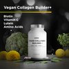 Amen Plant-Based Vegan Collagen Builder Supplement - Organic Whole Foods, Lutein, Vitamin C, Biotin, Lysine, Proline Collagen Boosters - Organic Cranberry, Lemon, Strawberry - Once A Day - 30 Capsules