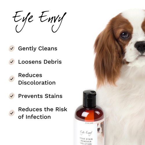 Eye Envy Tear Stain Remover Solution for Dogs|100% Natural,Safe|Recommended by Breeders/Vet/Professional Handlers/Groomers|Contains colloidal Silver|Remove Stains from White/Light Fur,Skin Folds (4oz)