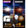 LUYED 3157 LED Bulb for Reverse Lights 3400 Lumens Extremely Bright 3056 3156 3057 3157 LED Bulbs with Projector for Tail Brake Signal Lights,Xenon White,Pack of 2 (Brightest LED in market)