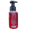 Bath & Body Works Ghoul Friend Gentle Foaming Hand Soap 8.75 oz (Ghoul Friend)