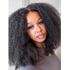 ISEE Wear and Go Glueless Wig Afro Kinky Curly Lace Front Wigs Human Hair 6x4 HD Lace Afro Curly Wigs for Women Lace Pre Cut Glueless Wigs Human Hair Pre Plucked 16 Inch