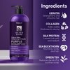 VANIDOX Sulfate Free Purple Shampoo for Grey and Silver Hair, Brass Toning Purple Shampoo Infused with Purple Pigment, Purple Shampoo for Gray Hair for Women (16 fl oz)