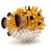 Gemini&Genius Pufferfish Toy, Realistic Puffer Fish Action Figure, Real Blowfish Toy, Educational Gift, Display and Play Toy, DIY Craft Decor, Swimming or Bath Toy for Kids