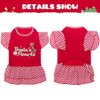 EXPAWLORER Dog Christmas Dresses for Small Dogs and Puppies, Girl Dog Dress Shirt Santa's Favorite Holiday Party Clothes Warm Cotton Skirt