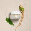 EVE LOM Radiance Antioxidant Eye Cream - Under Eye Cream for Dark Circles & Puffiness - Hydrates & Nourishes - (15ml)