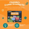 Channie's Crystal Growing Kit