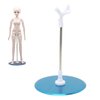 Doll Display Stand Holder 1/3 Adjustable Doll Stand Doll Holder Stand Toys Display Home Accessories Dolls Mini Display Holder