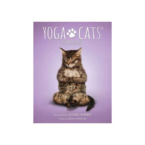 AzureGreen Yoga Cats Tarot Cards by Borris & DeNicola