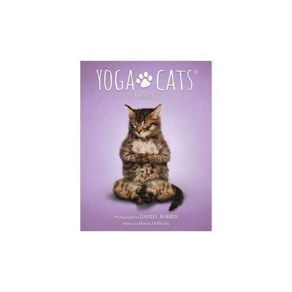 AzureGreen Yoga Cats Tarot Cards by Borris & DeNicola