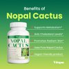 Vitapia Nopal Cactus 1000mg(20000mg) - Prickly Pear Cactus 20:1 Extract Powder Supplement - Vegan Friendly, Non GMO and Gluten Free - 120 Capsules