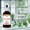 Fu Ling (Poria Cocos) Dry Sclerotia Tincture, Made in Hawaii, All Natural, Vegan, Pure Liquid Extract - 4 fl.oz
