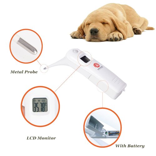 Animal Electronic Ehermometer Pet Thermometer Digital Thermometer is a Fast Rectal Thermometer for Dogs,Horse, Cats, Pigs,Sheep